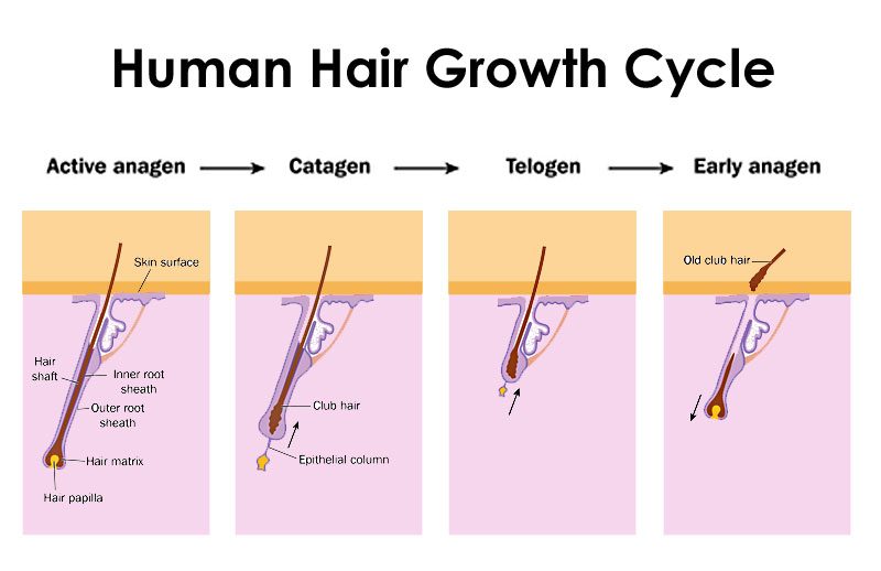 Carboxytherapy hair loss. - UniSkin